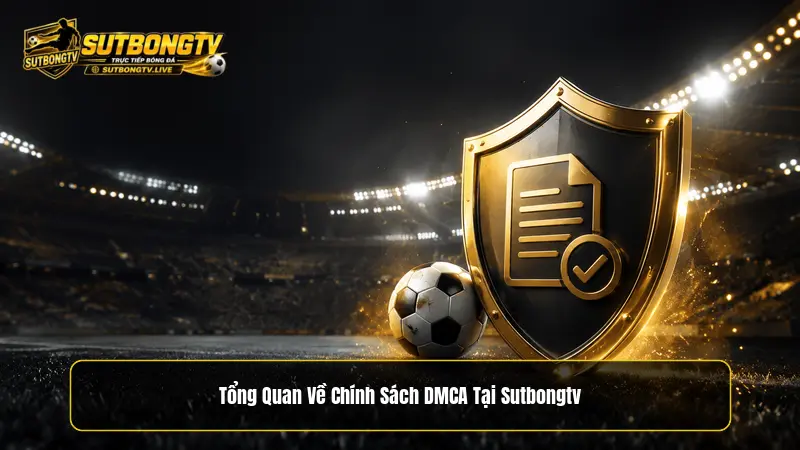 Mục đích của Chính sách DMCA tại Sutbongtv