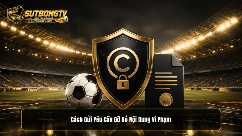 Các trường hợp không thuộc phạm vi DMCA
