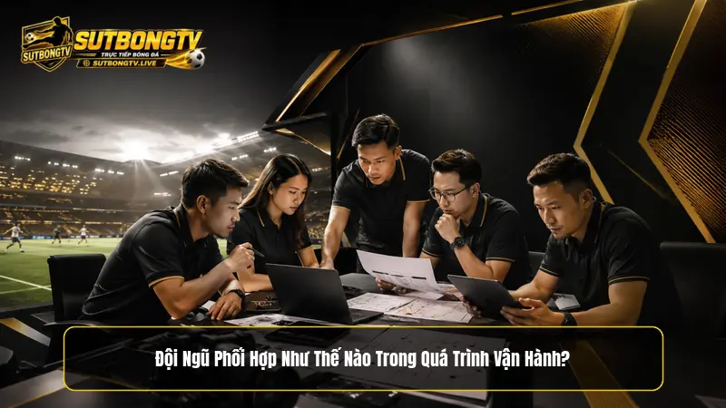 Đội ngũ nhân sự phối hợp như thế nào trong quá trình vận hành?
