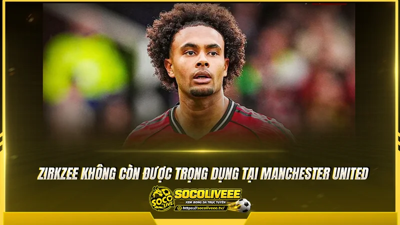 Zirkzee không còn được trọng dụng tại Manchester United Zirkzee không còn được trọng dụng tại Manchester United