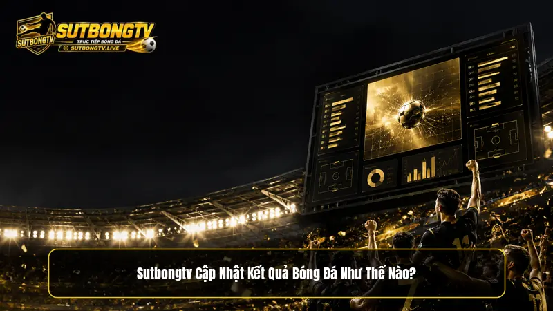 Sutbongtv cập nhật kết quả bóng đá như thế nào?