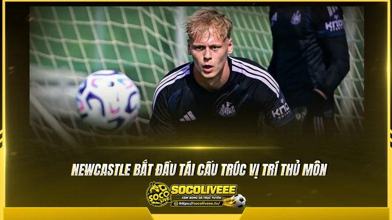Newcastle bắt đầu tái cấu trúc vị trí thủ môn Newcastle bắt đầu tái cấu trúc vị trí thủ môn
