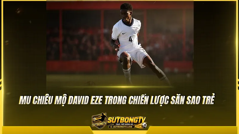 MU chiêu mộ David Eze trong chiến lược săn sao trẻ MU chiêu mộ David Eze trong chiến lược săn sao trẻ